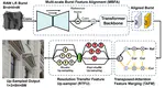 Gated Multi-Resolution Transfer Network for Burst Restoration and Enhancement